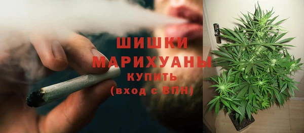 ПСИЛОЦИБИНОВЫЕ ГРИБЫ Балабаново