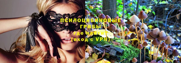 ПСИЛОЦИБИНОВЫЕ ГРИБЫ Балабаново