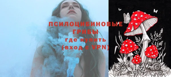 гашик Балахна